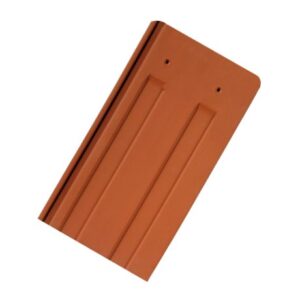 Tondach - Transilvania natural